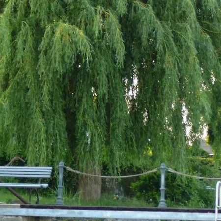 Cheerful In Wilhelmshof Usedom Near Baltic Sea Apartment *